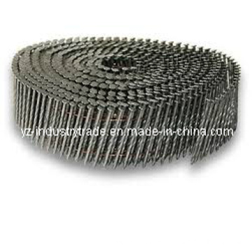 Quente! Galvanizado Air Gun Coil Nail